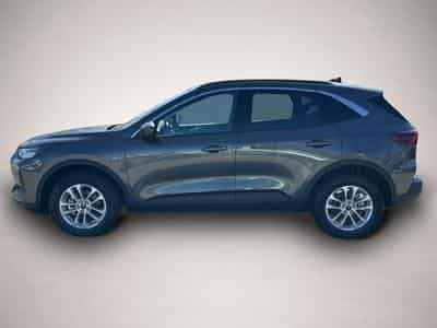 Ford Kuga (2026) - Foto 3