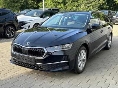 Skoda Octavia Selection (2026) - Foto 3