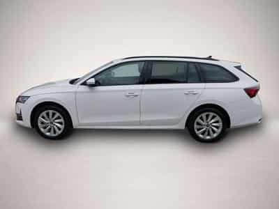 Skoda Octavia (2026) - Foto 3