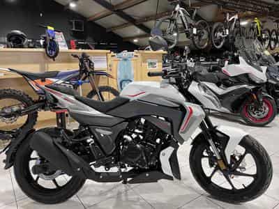 Morbidelli F125 (2026) - Foto 1