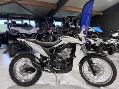 Beta Alp 4.0 (2026) - Foto 1