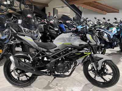 Benelli BN GRIS (2026) - Foto 1
