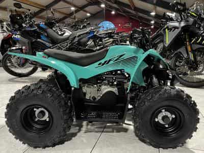 Yamaha Raptor 50 4 TEMPS (2026) - Foto 1