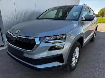 Skoda Karoq Selection (2026) - Photo 1