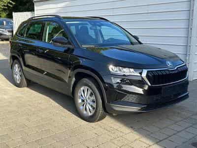 Skoda Karoq Selection (2026) - Photo 1
