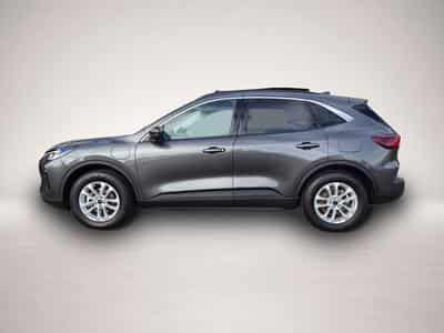 Ford Kuga (2026) - Foto 1