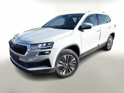 Skoda Karoq Selection (2026) - Photo 1