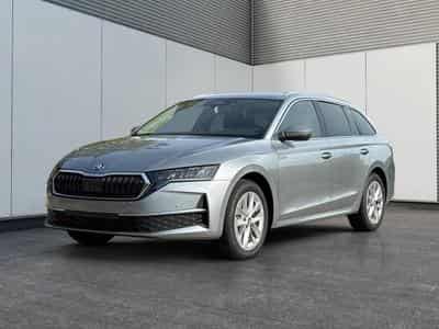 Skoda Octavia Selection (2026) - Foto 1