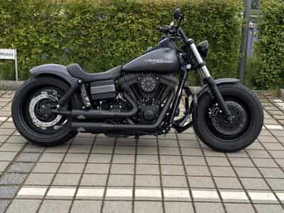 Harley-Davidson Dyna Fat Bob Jekill (2009) - Photo 1