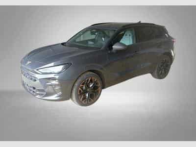 Cupra Terramar VZ 2.0 TSI 7-Gang-DSG 4Drive (2026) - Photo 1