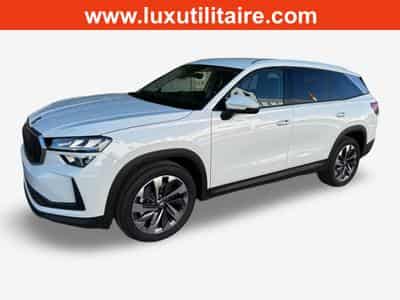 Skoda Karoq 2.0 TDI 193 DSG Selection 4x4 (2026) - Photo 1