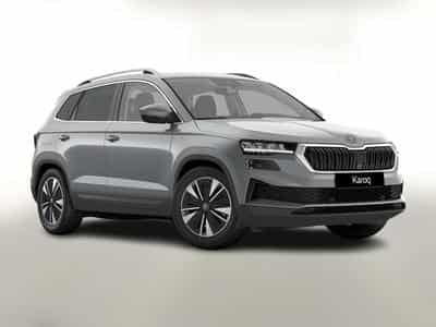 Skoda Karoq Selection (2026) - Photo 1