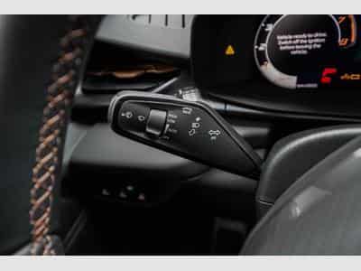 Cupra Terramar 2,0 TSI DSG (2025) - Photo 10