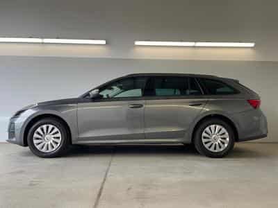 Skoda Octavia Essence (2026) - Foto 3