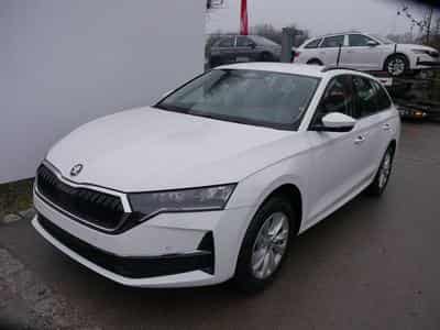 Skoda Octavia Selection (2026) - Foto 1
