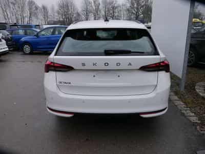Skoda Octavia Selection (2026) - Foto 2