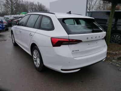 Skoda Octavia Selection (2026) - Foto 6