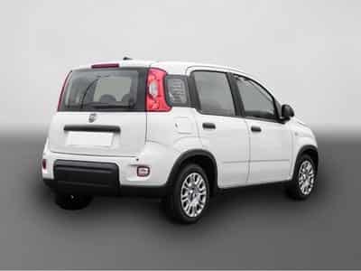 Fiat Panda (2024) - Foto 2