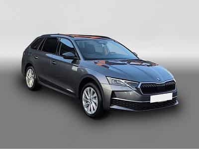 Skoda Octavia (2026) - Photo 3