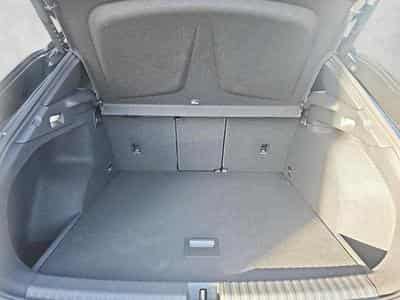 Cupra Terramar 2.0 TSI 195 kW 4Drive VZ (2025) - Foto 1