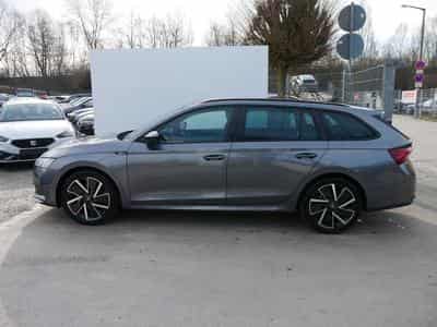 Skoda Octavia Sportline (2026) - Photo 5
