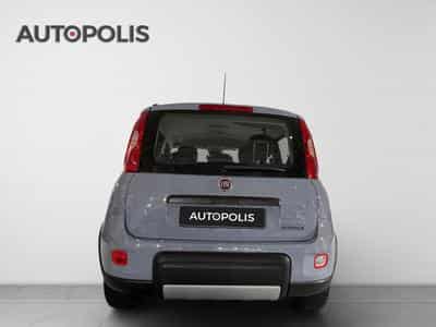 Fiat Panda 1.0 City Life 2023 (2023) - Foto 15