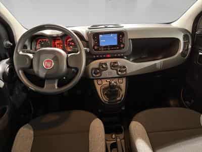 Fiat Panda 1.0 City Life 2023 (2023) - Foto 5
