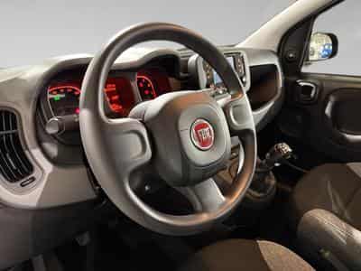 Fiat Panda 1.0 City Life 2023 (2023) - Foto 8