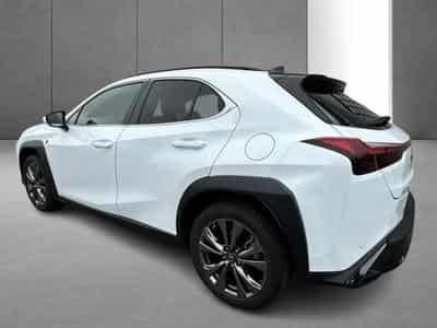 Lexus UX (2023) - Photo 6