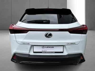 Lexus UX (2023) - Photo 7