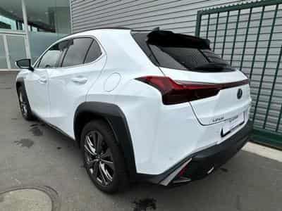 Lexus UX (2023) - Photo 8