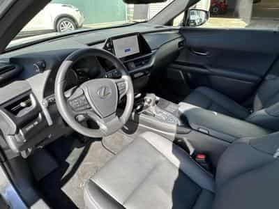 Lexus UX (2023) - Photo 9