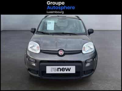 Fiat Panda 1.0i MHEV City Life (2022) - Photo 2