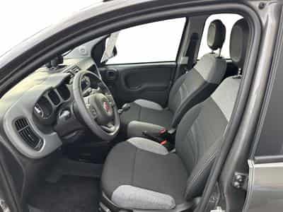Fiat Panda 1.0i MHEV City Life (2022) - Photo 6
