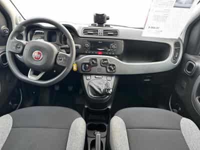 Fiat Panda 1.0i MHEV City Life (2022) - Photo 7