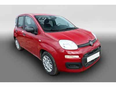 Fiat Panda (2026) - Photo 2