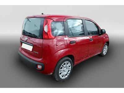 Fiat Panda (2026) - Photo 3