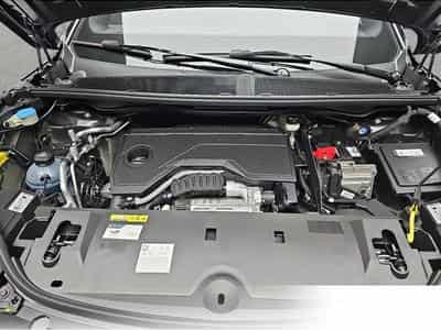 Peugeot 3008 (2026) - Foto 14