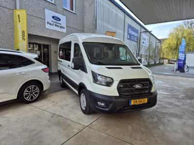 Ford Transit 2T Minibus L2 (310M) Trend 2.0 Ecoblue 130cv A8 (2026) - Photo 2