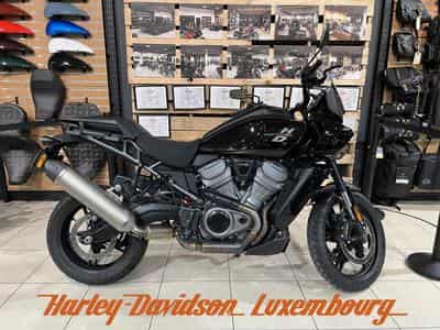 Harley-Davidson Pan America (2022) - Photo 1