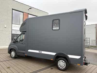 Maxus Deliver 9 3.5T MAXUS DELIVER 9 – MSG STALLION LIGHT (2026) - Photo 14