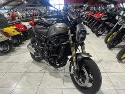 Benelli Leoncino 800 (2024) - Photo 6