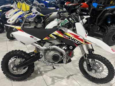 YCF Start F (2024) - Foto 1