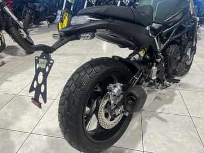 Benelli Leoncino 800 (2024) - Photo 3