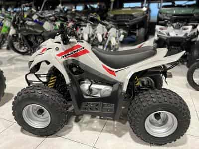 Kymco Maxxer 90 S (2024) - Foto 6