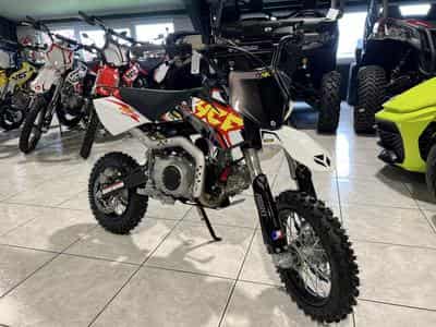 YCF Start F SE Limited démarreur électrique (2024) - Foto 6