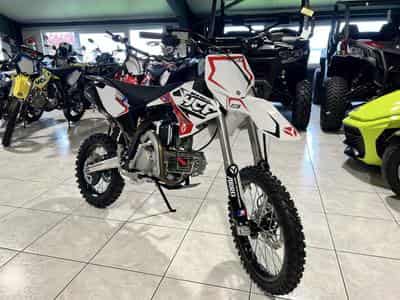 YCF Bigy 150 E Factory S démarreur électrique (2024) - Photo 7