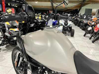 Royal Enfield Himalayan 450 KAZA BROWN (2024) - Photo 6