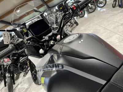 Moto Guzzi Stelvio PFF Rider Assistance Solution 1000 (2024) - Photo 6