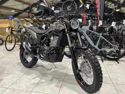 Beta Alp 4.0 X (2025) - Photo 7